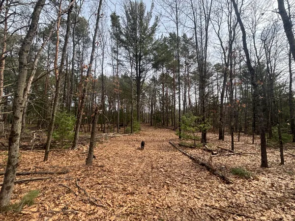 $47,500 | 8.09 North A N Centerline Road, White Cloud, MI 49349