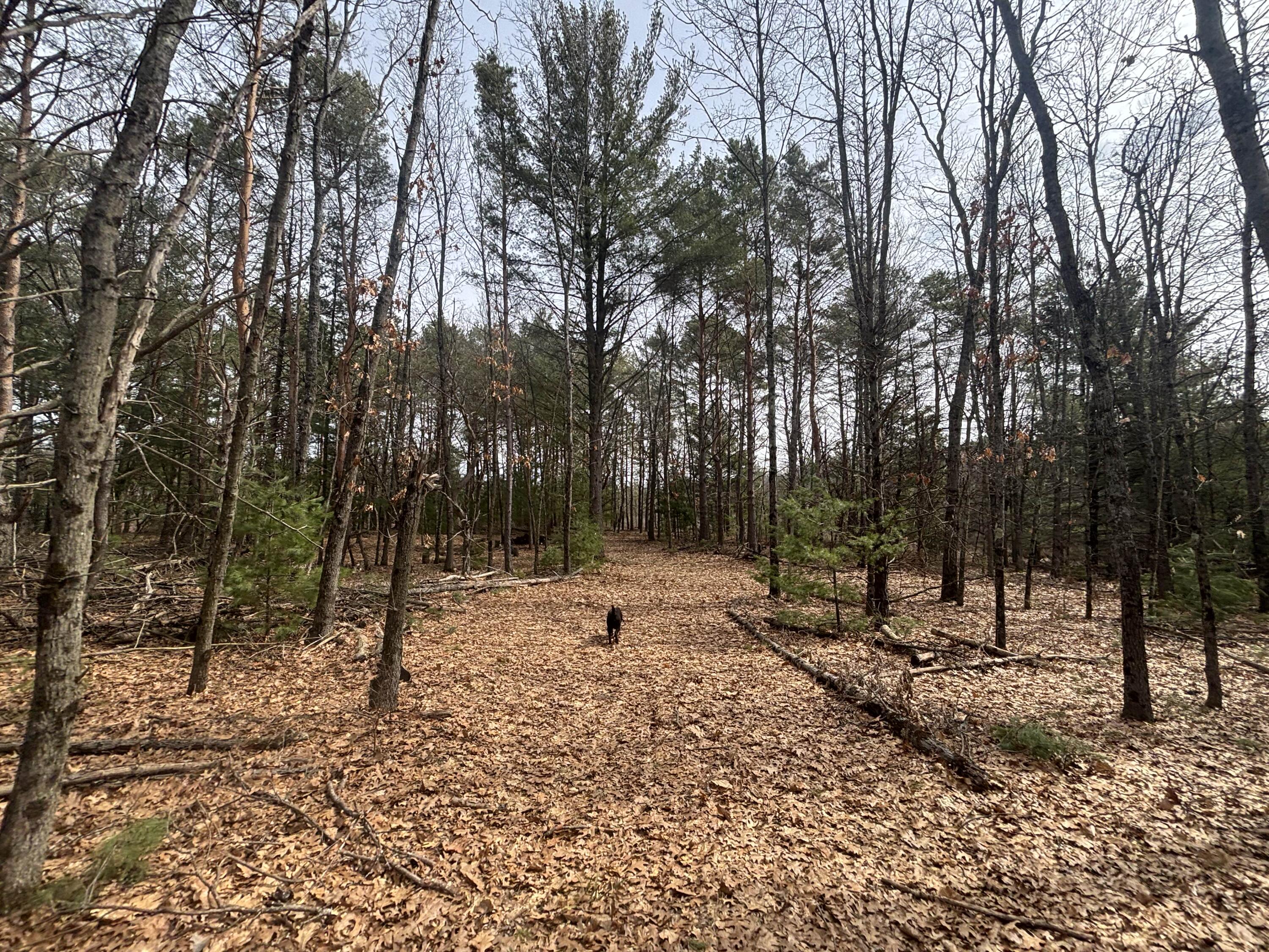 8.09 North A N Centerline Road White Cloud, MI 49349 - Photo 18 of 26 IMG_1913