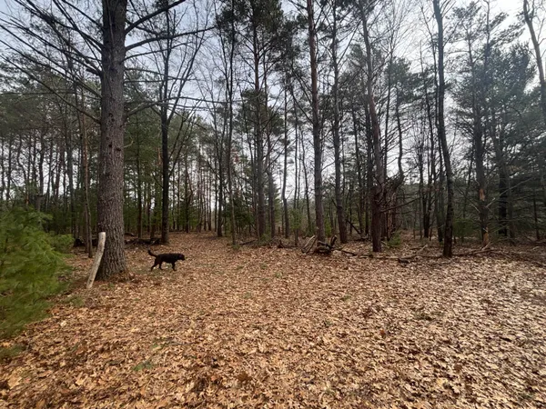 $47,500 | 8.09 North A N Centerline Road, White Cloud, MI 49349