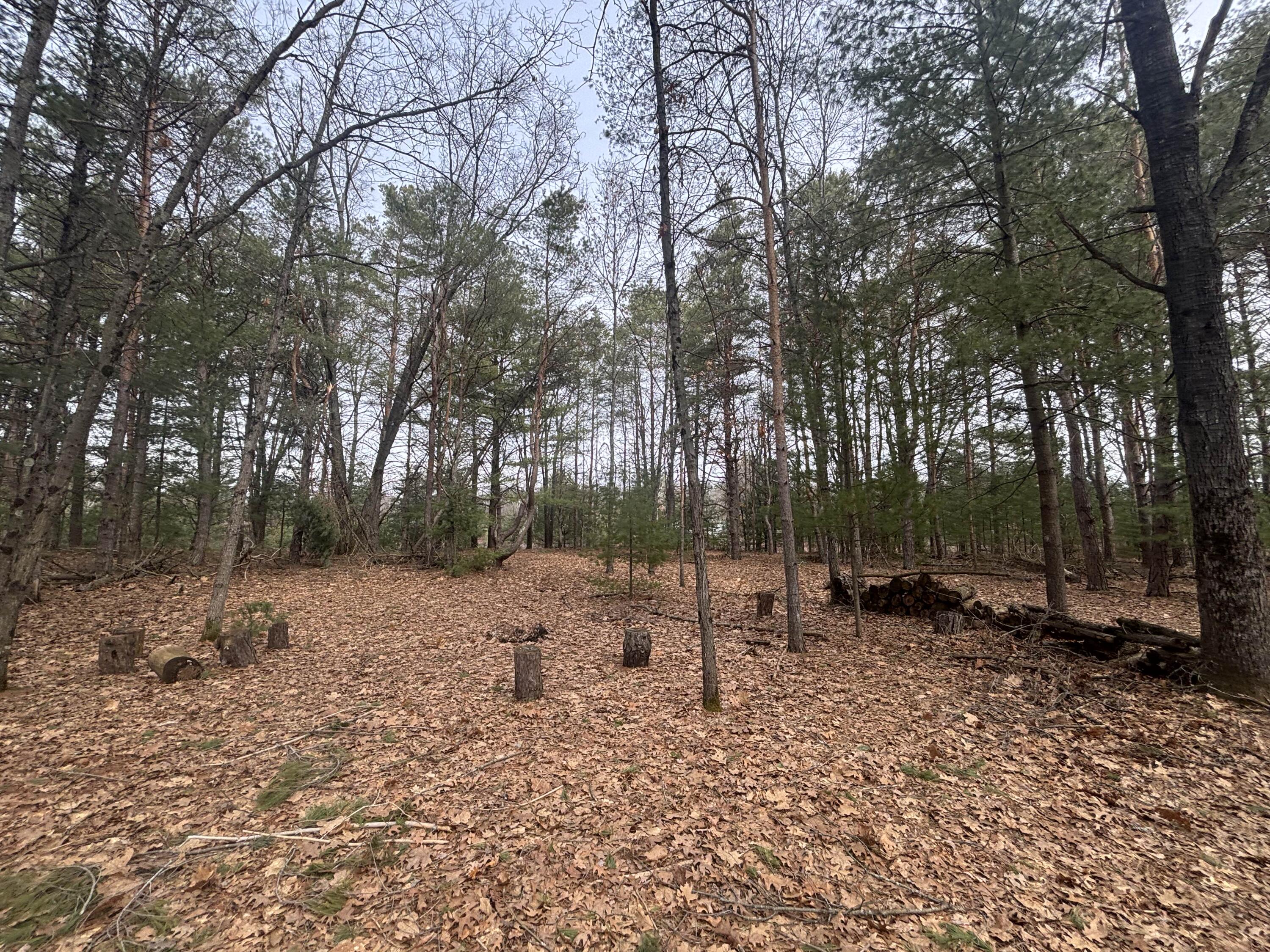 8.09 North A N Centerline Road White Cloud, MI 49349 - Photo 20 of 26 IMG_1917