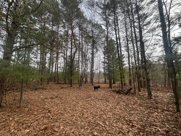 $47,500 | 8.09 North A N Centerline Road, White Cloud, MI 49349