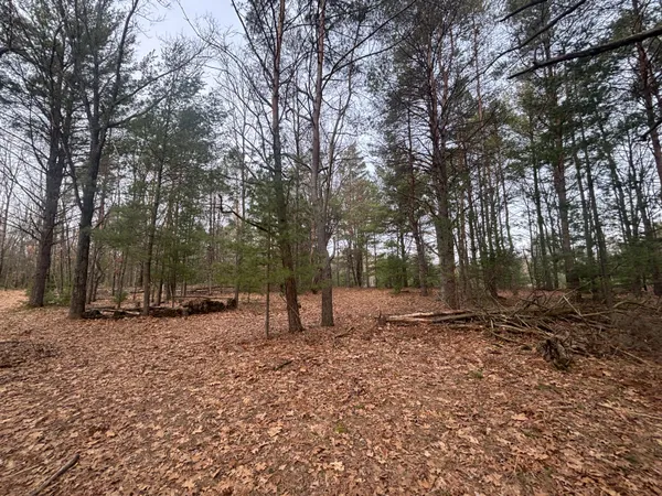 $47,500 | 8.09 North A N Centerline Road, White Cloud, MI 49349