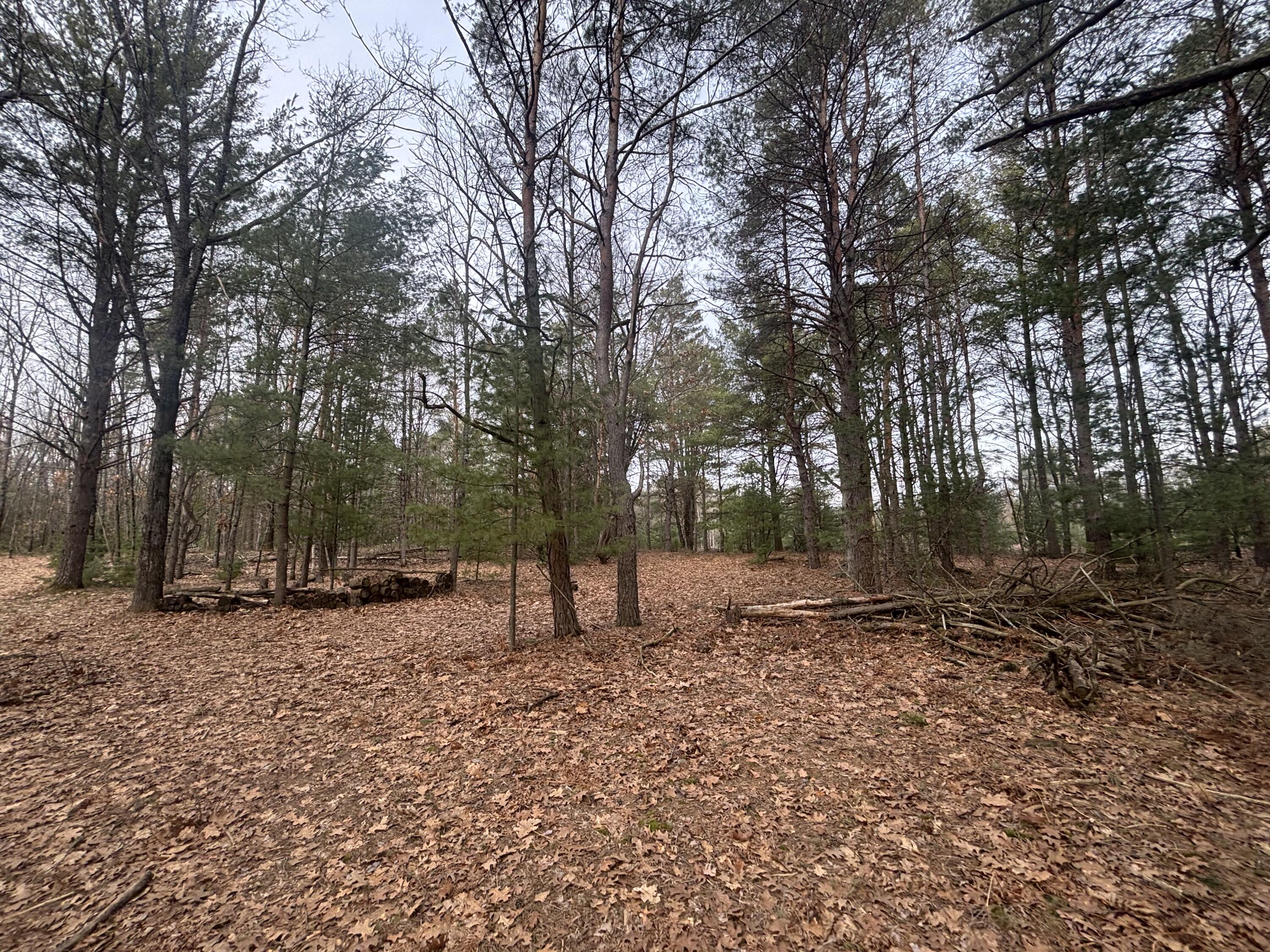 8.09 North A N Centerline Road White Cloud, MI 49349 - Photo 22 of 26 IMG_1920