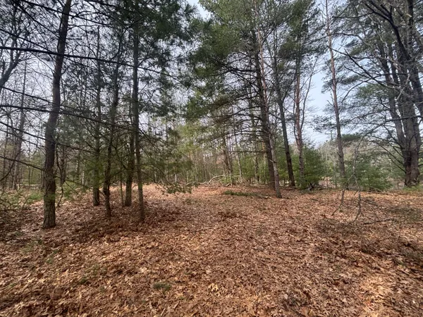 $47,500 | 8.09 North A N Centerline Road, White Cloud, MI 49349