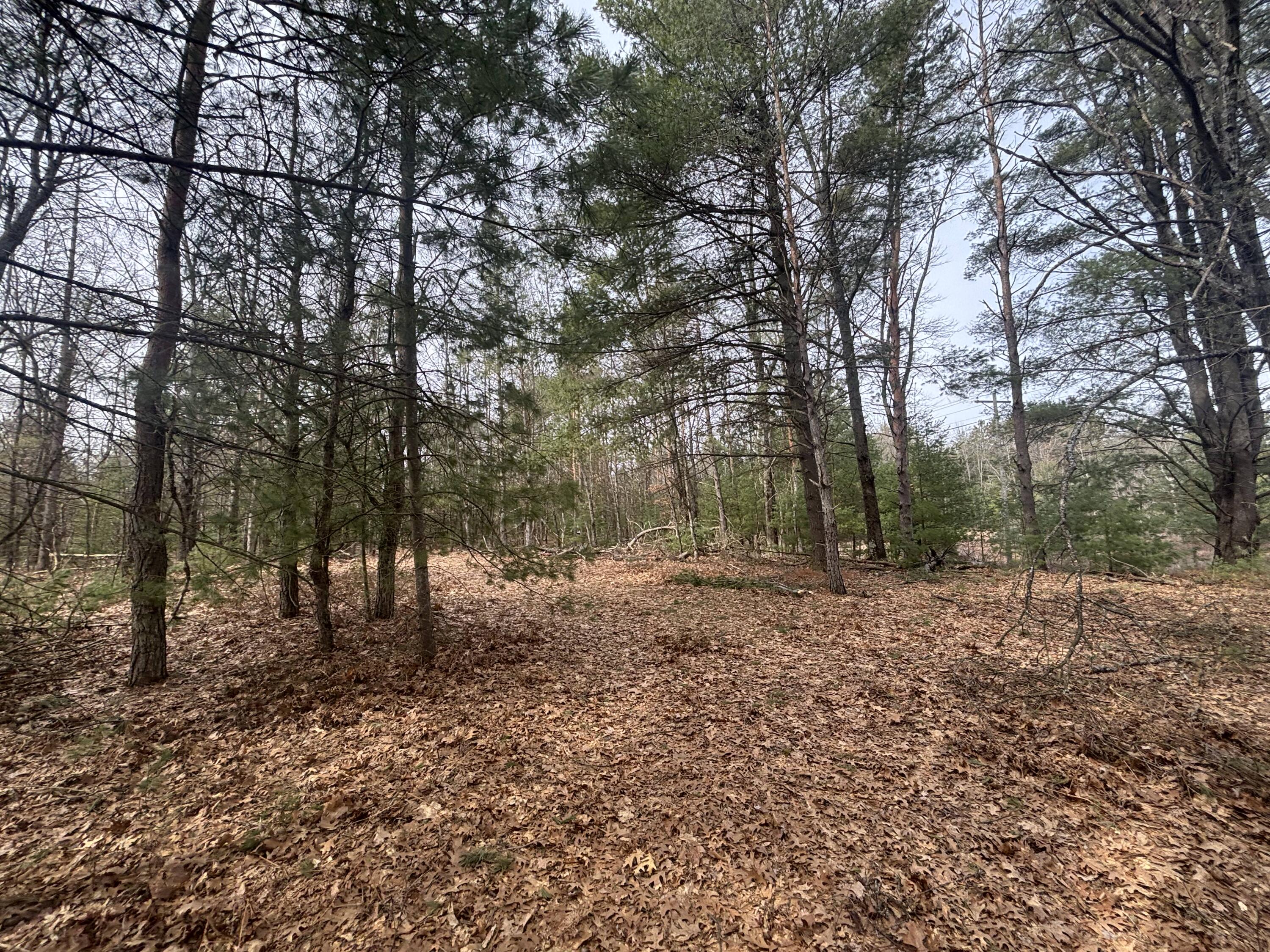 8.09 North A N Centerline Road White Cloud, MI 49349 - Photo 23 of 26 IMG_1923