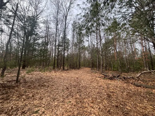 $47,500 | 8.09 North A N Centerline Road, White Cloud, MI 49349