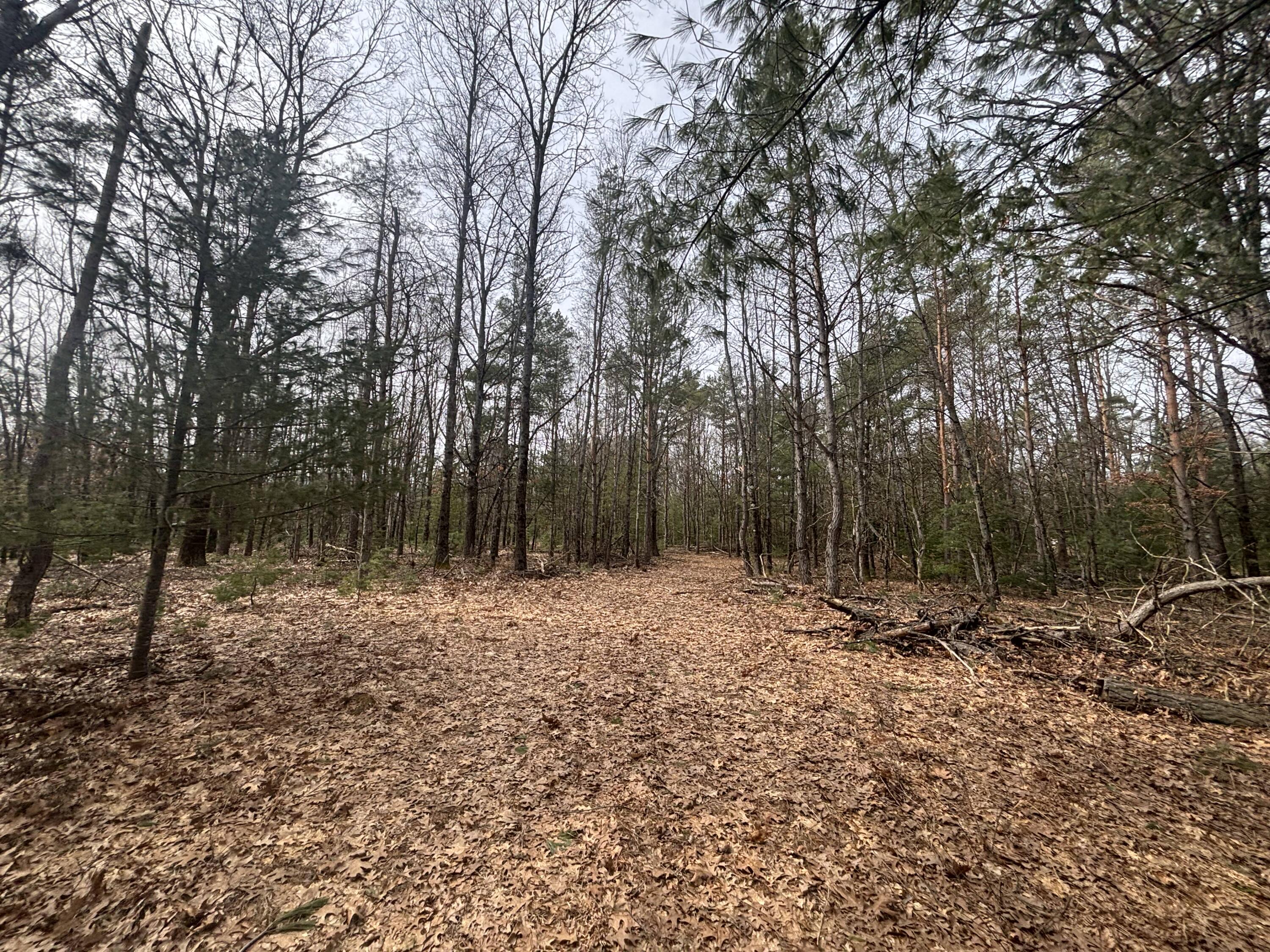 8.09 North A N Centerline Road White Cloud, MI 49349 - Photo 24 of 26 IMG_1925