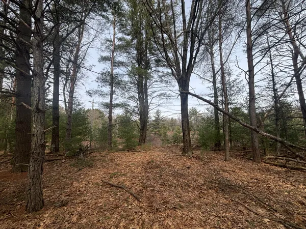 $47,500 | 8.09 North A N Centerline Road, White Cloud, MI 49349