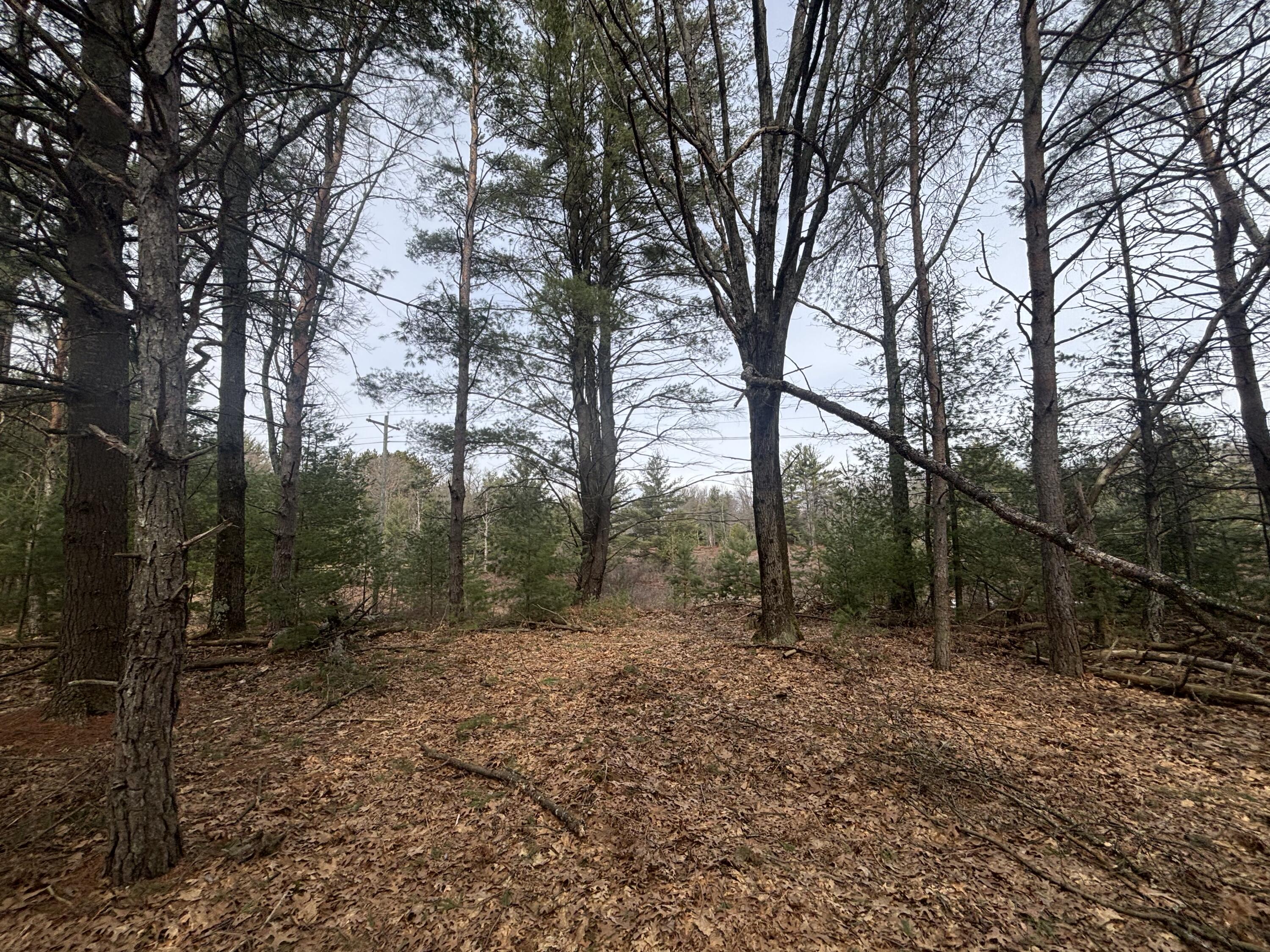 8.09 North A N Centerline Road White Cloud, MI 49349 - Photo 4 of 26 IMG_1924