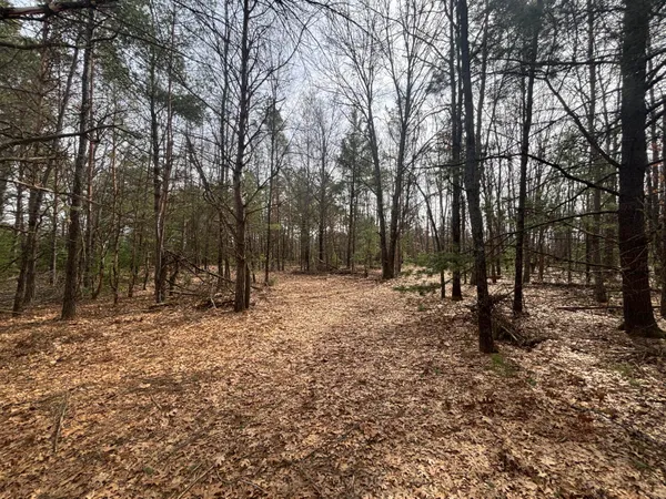 $47,500 | 8.09 North A N Centerline Road, White Cloud, MI 49349