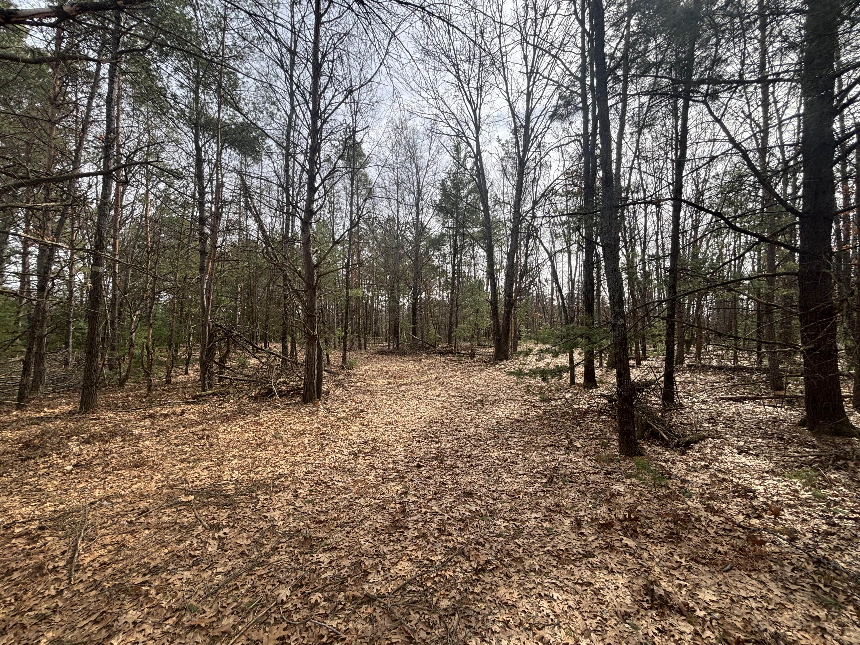 8.09 North A N Centerline Road White Cloud, MI 49349 - Photo 5 of 26 IMG_1908