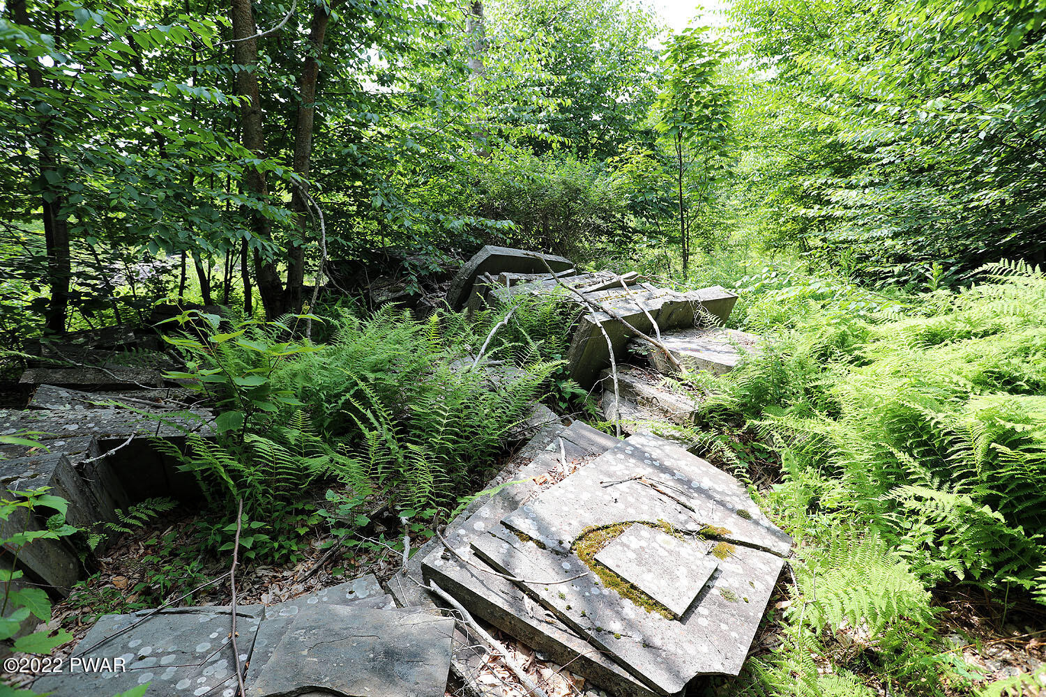 0 Minckler Mountain Road Damascus, PA 18415 - Photo 15 of 43