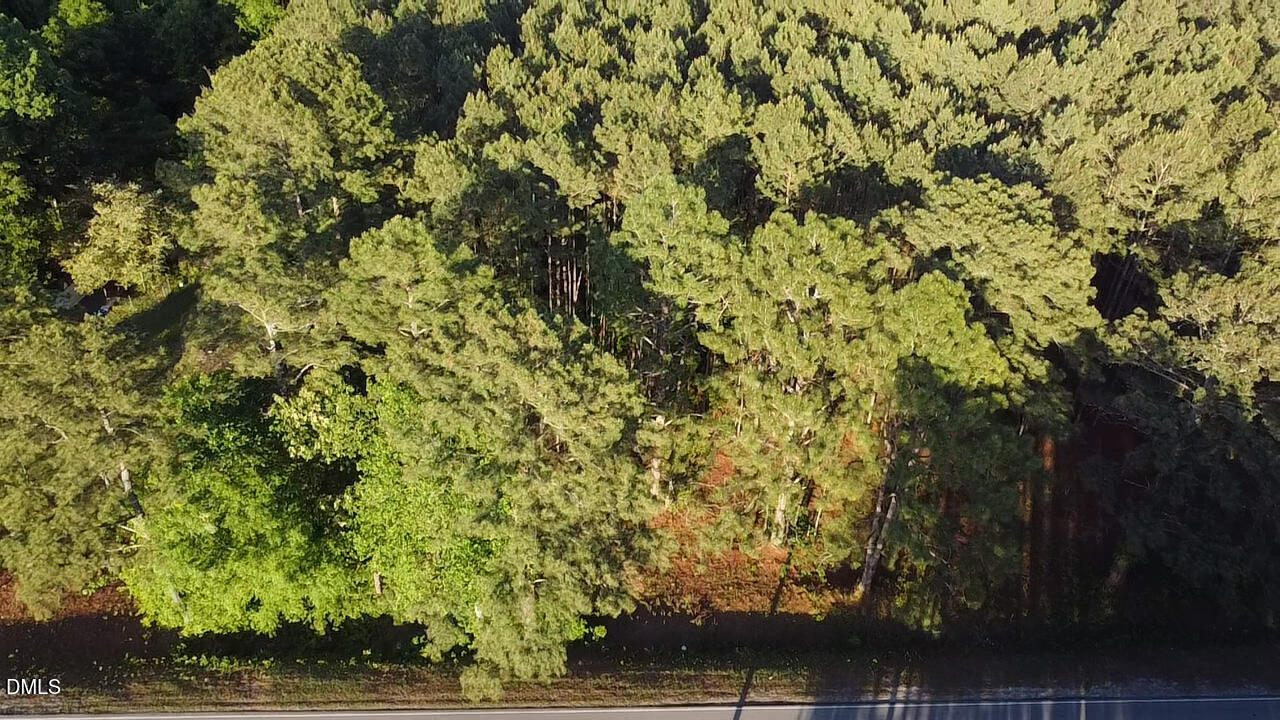 Lot 1 Docs Road Lillington, NC 27546 - Photo 1 of 1 lot 1