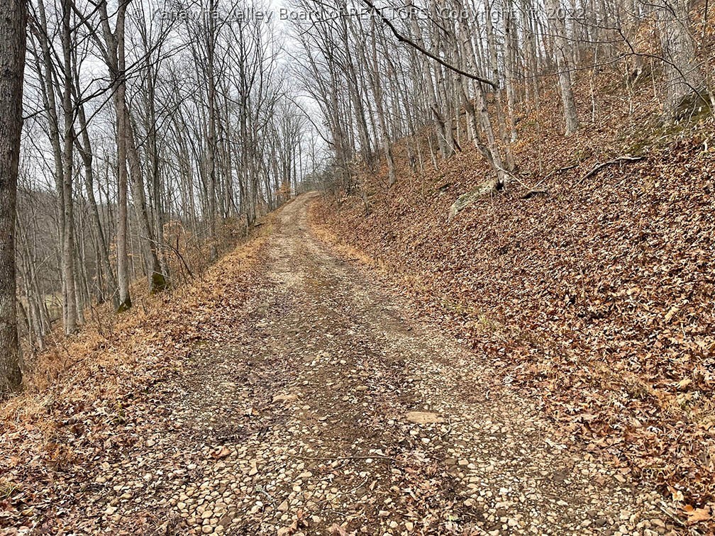 513 Cherry Fork Road Liberty, WV 25124 - Photo 4 of 38 Gallery Image 4