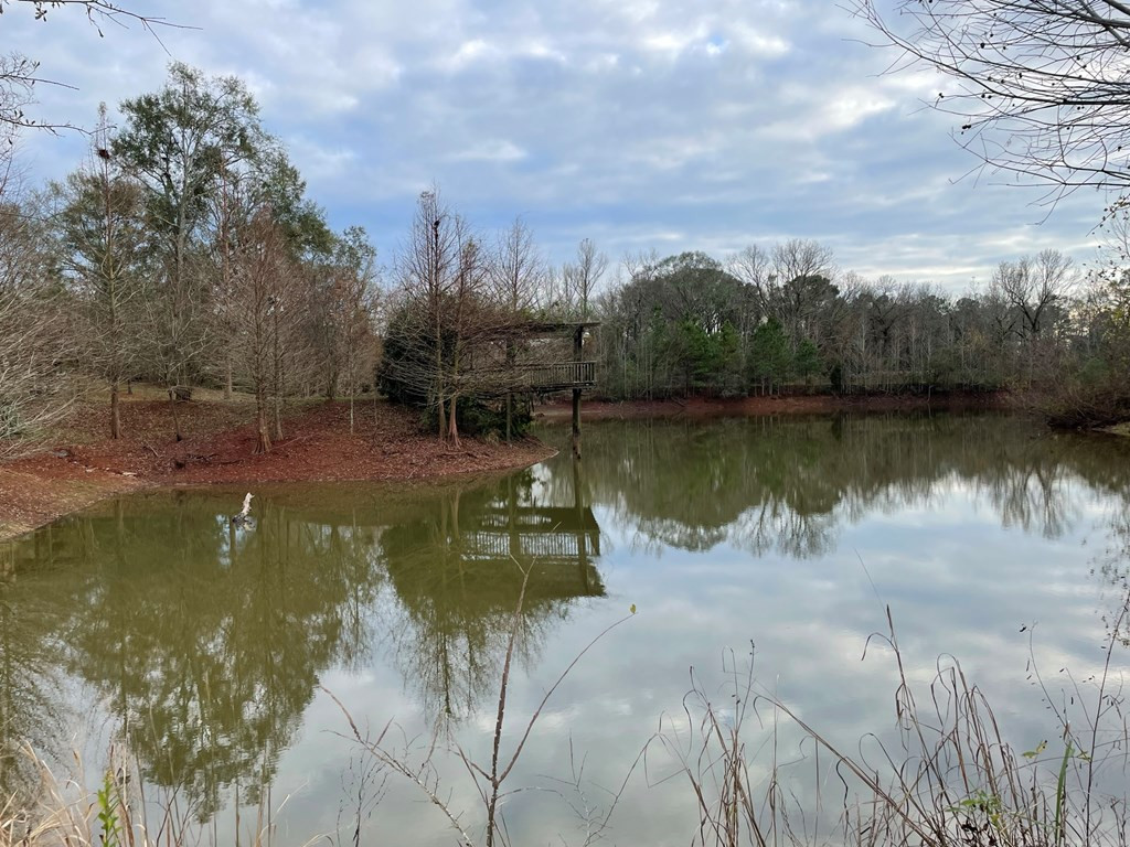 83 Jayess Road Tylertown, MS 39667 - Photo 33 of 50 Photo 33
