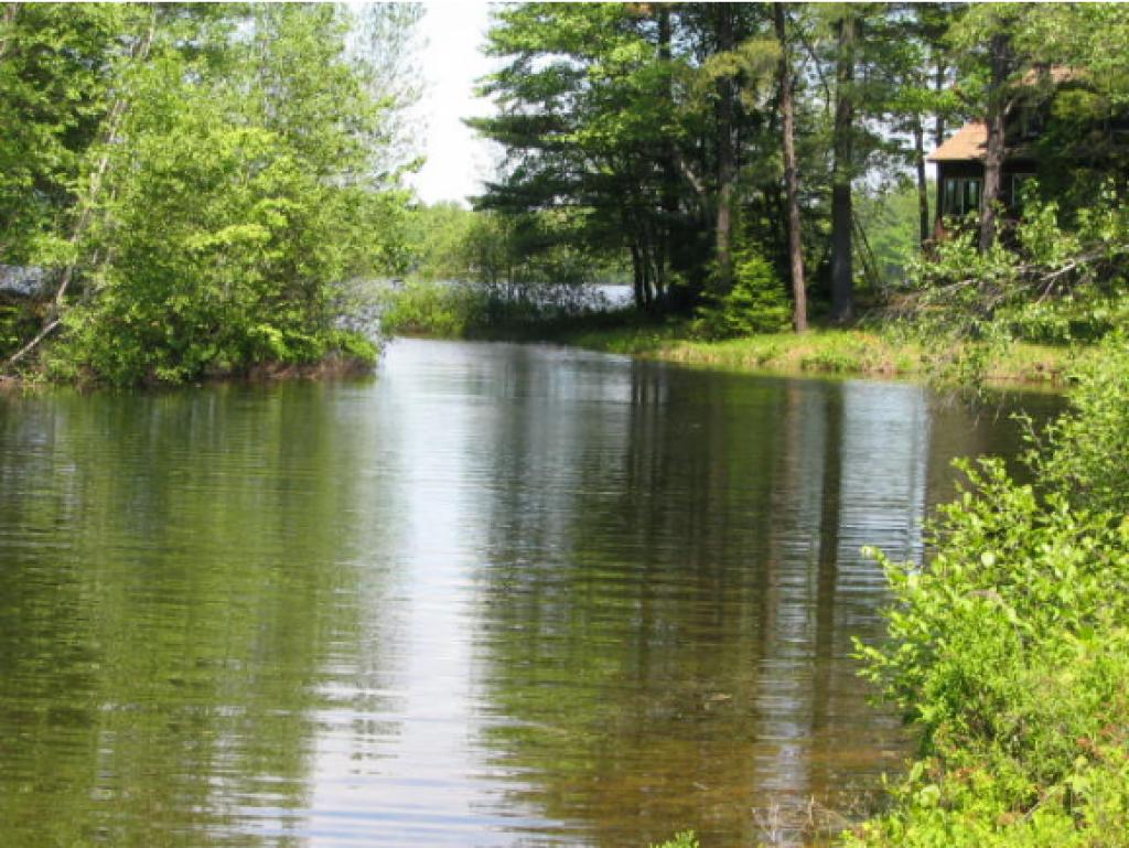 65 Cranmore Shores Road Albany, NH 03818 - Photo 1 of 29 Gallery Image 1