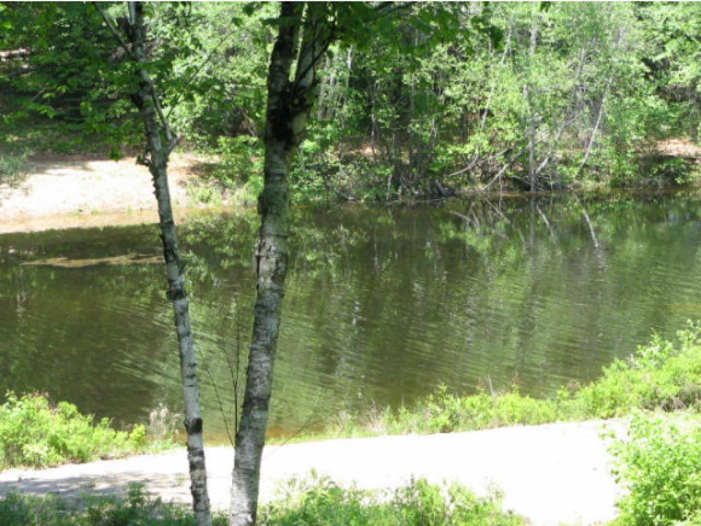 65 Cranmore Shores Road Albany, NH 03818 - Photo 27 of 29 Gallery Image 27