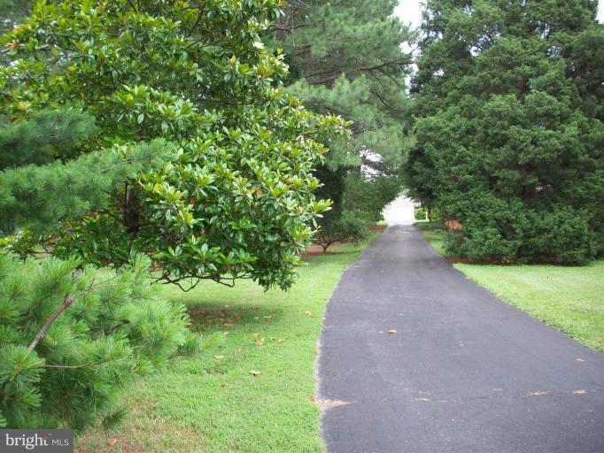 6758 Edge Road Royal Oak, MD 21662 - Photo 7 of 8 Private paved driveway