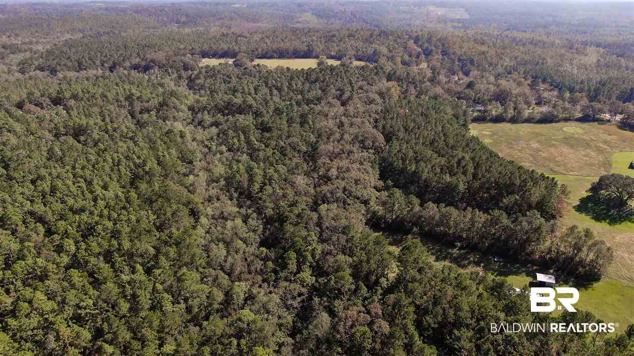 10685 John Little Road Bay Minette, AL 36507 - Photo 12 of 16