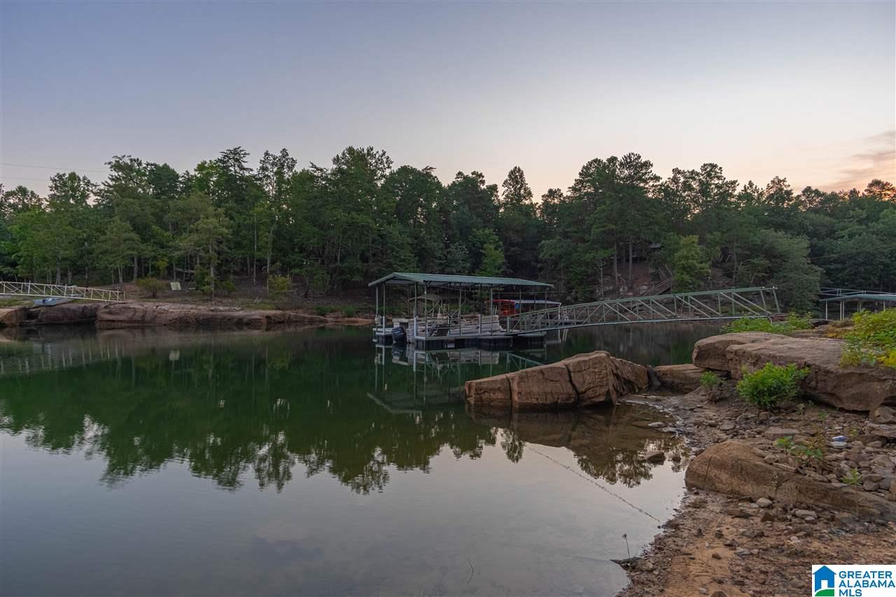 1529 Long Leaf Road Double Springs, AL 35553 - Photo 4 of 27