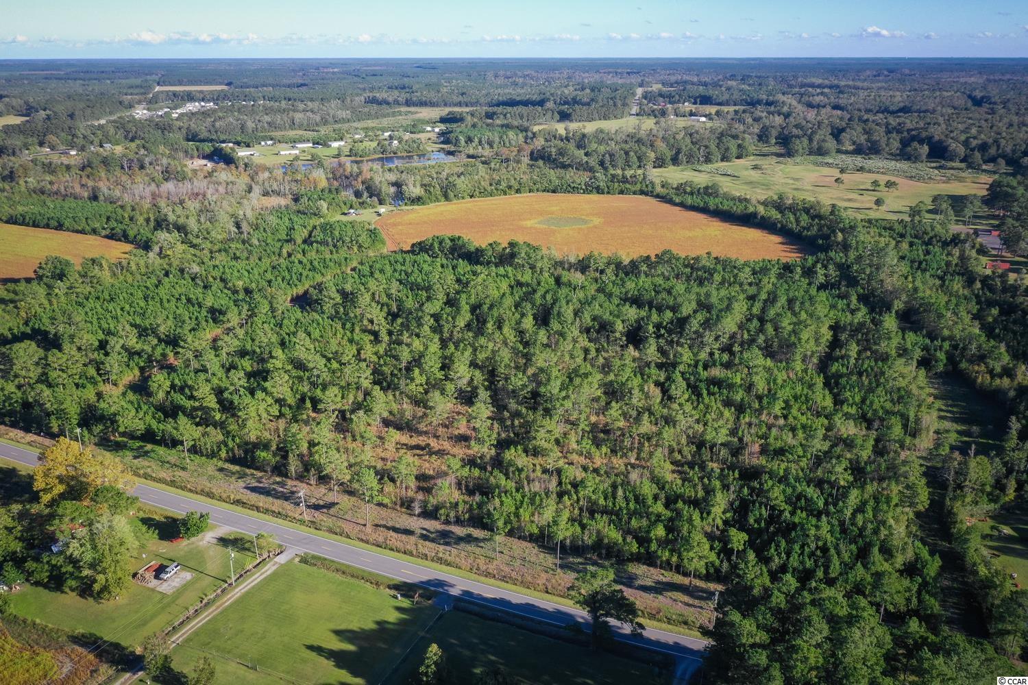 Tbd Camp Swamp Road Loris, SC 29569 - Photo 11 of 20
