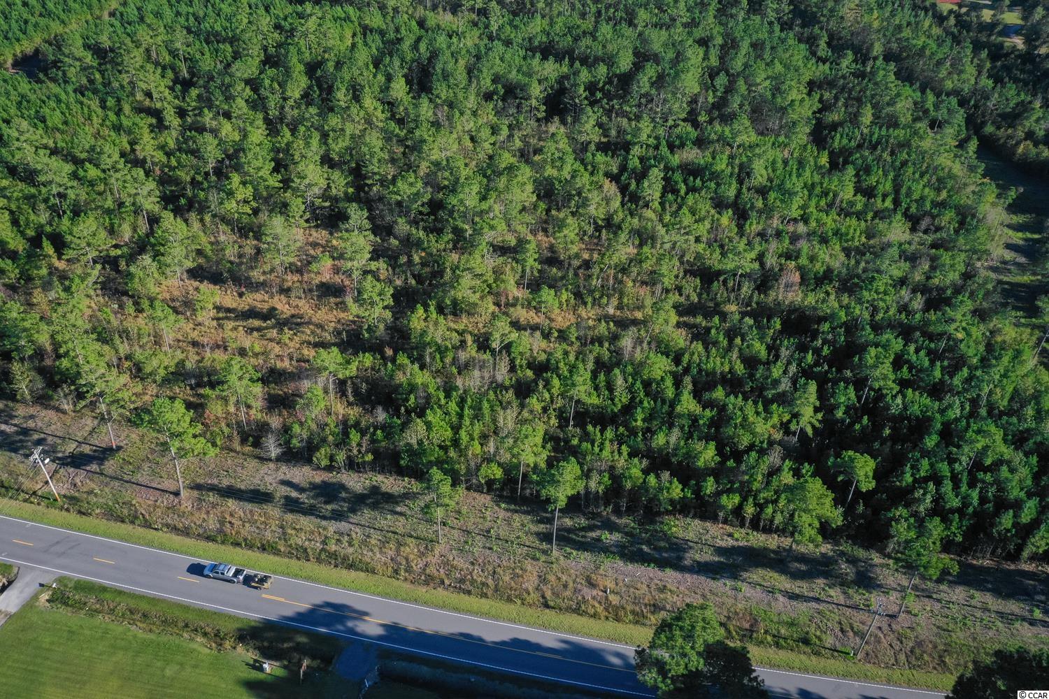 Tbd Camp Swamp Road Loris, SC 29569 - Photo 12 of 20