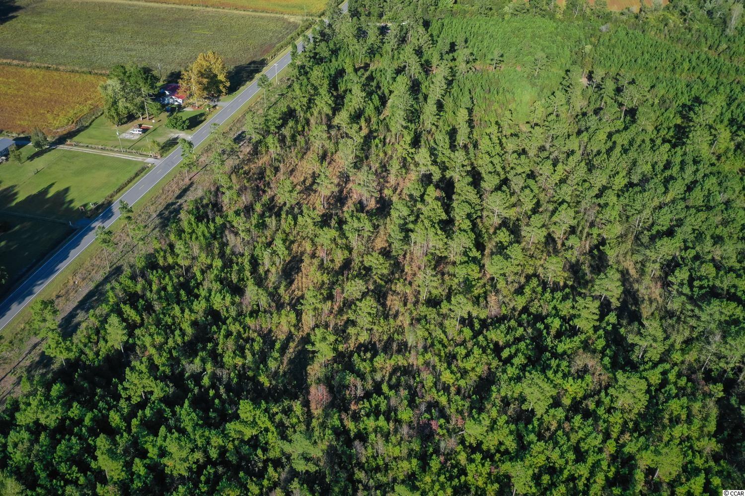 Tbd Camp Swamp Road Loris, SC 29569 - Photo 13 of 20