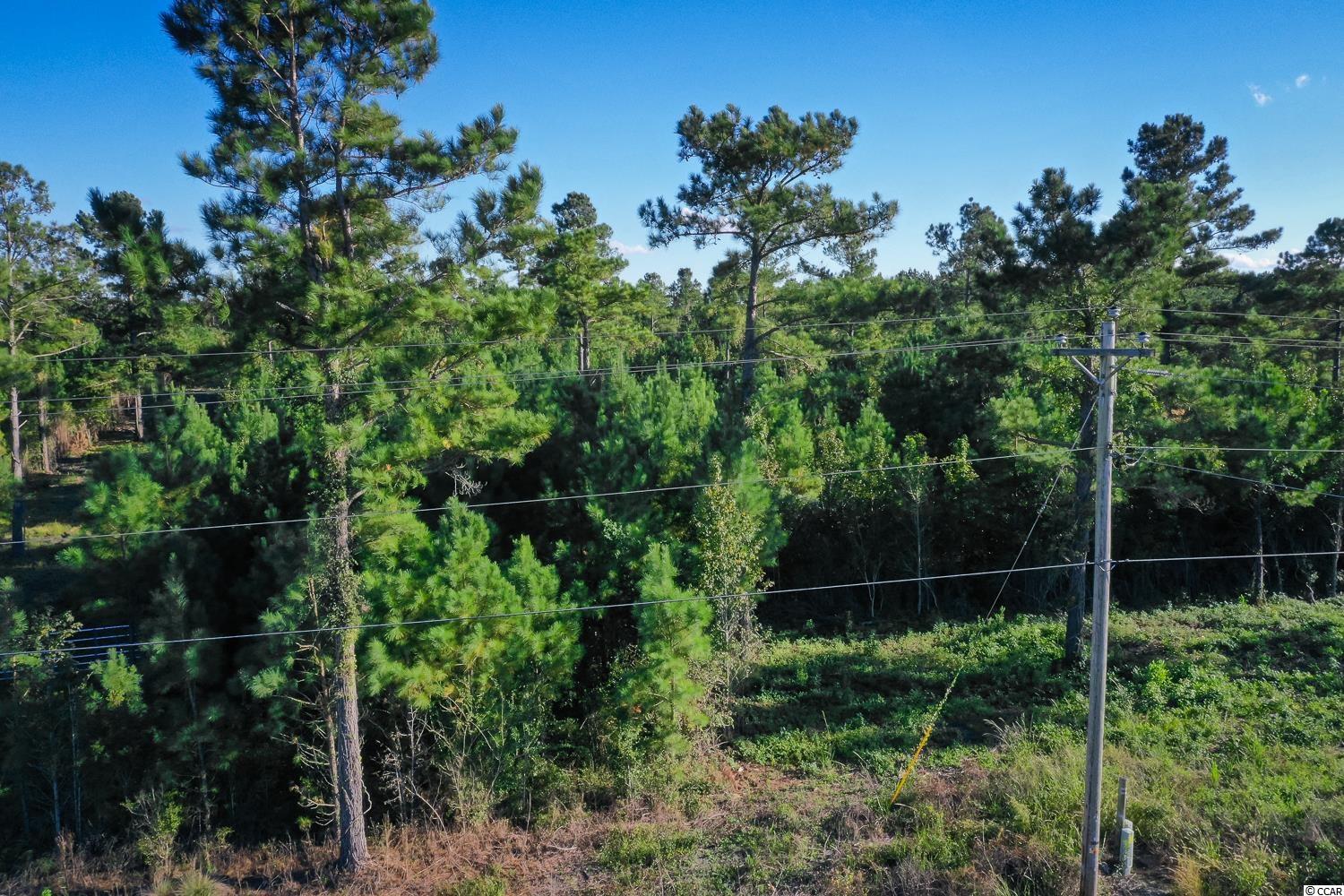 Tbd Camp Swamp Road Loris, SC 29569 - Photo 15 of 20
