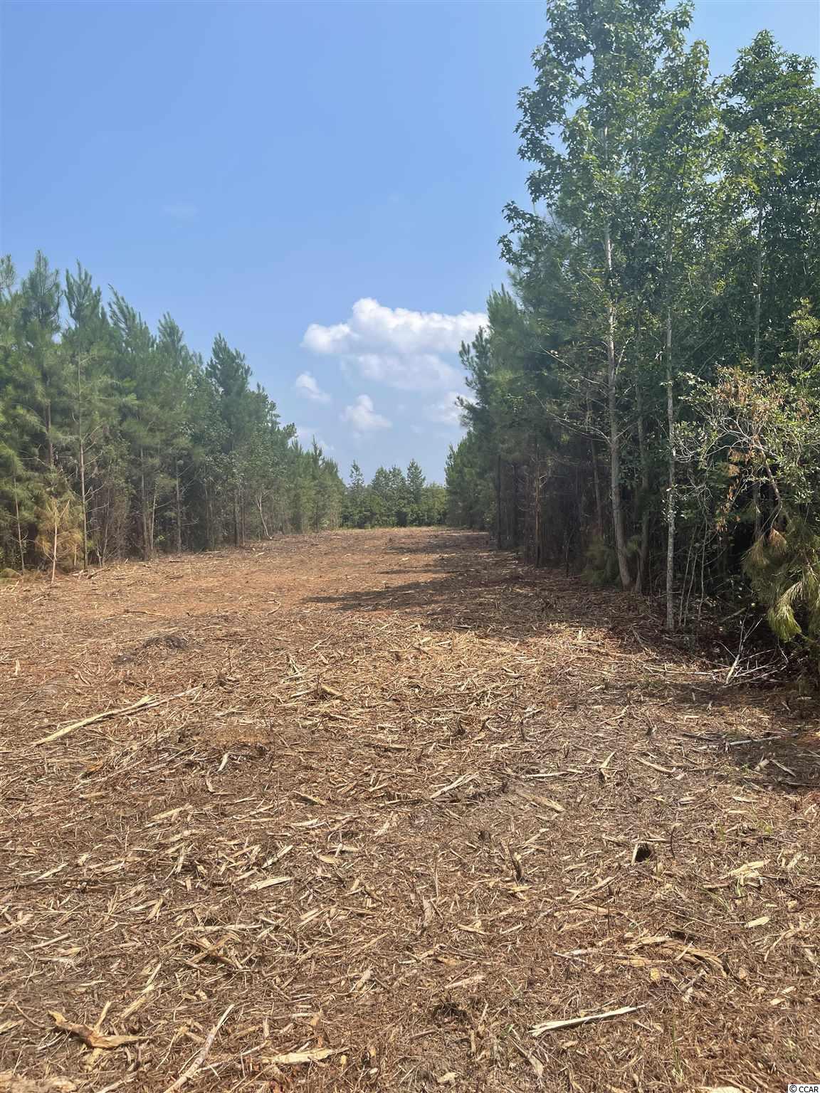 Tbd Camp Swamp Road Loris, SC 29569 - Photo 20 of 20