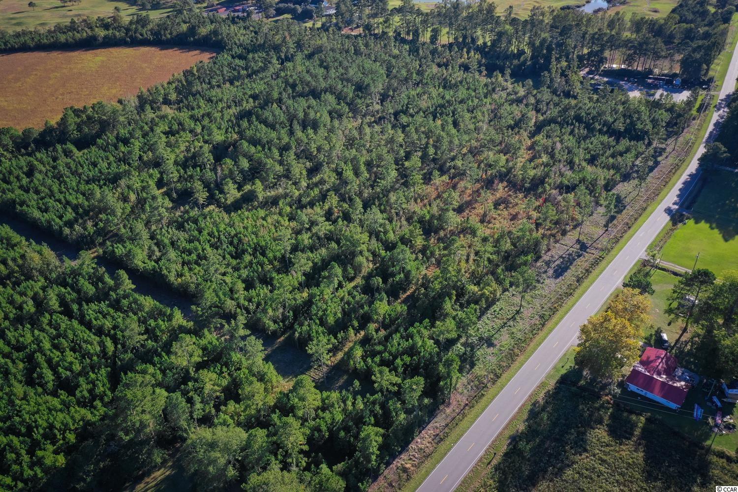 Tbd Camp Swamp Road Loris, SC 29569 - Photo 3 of 20
