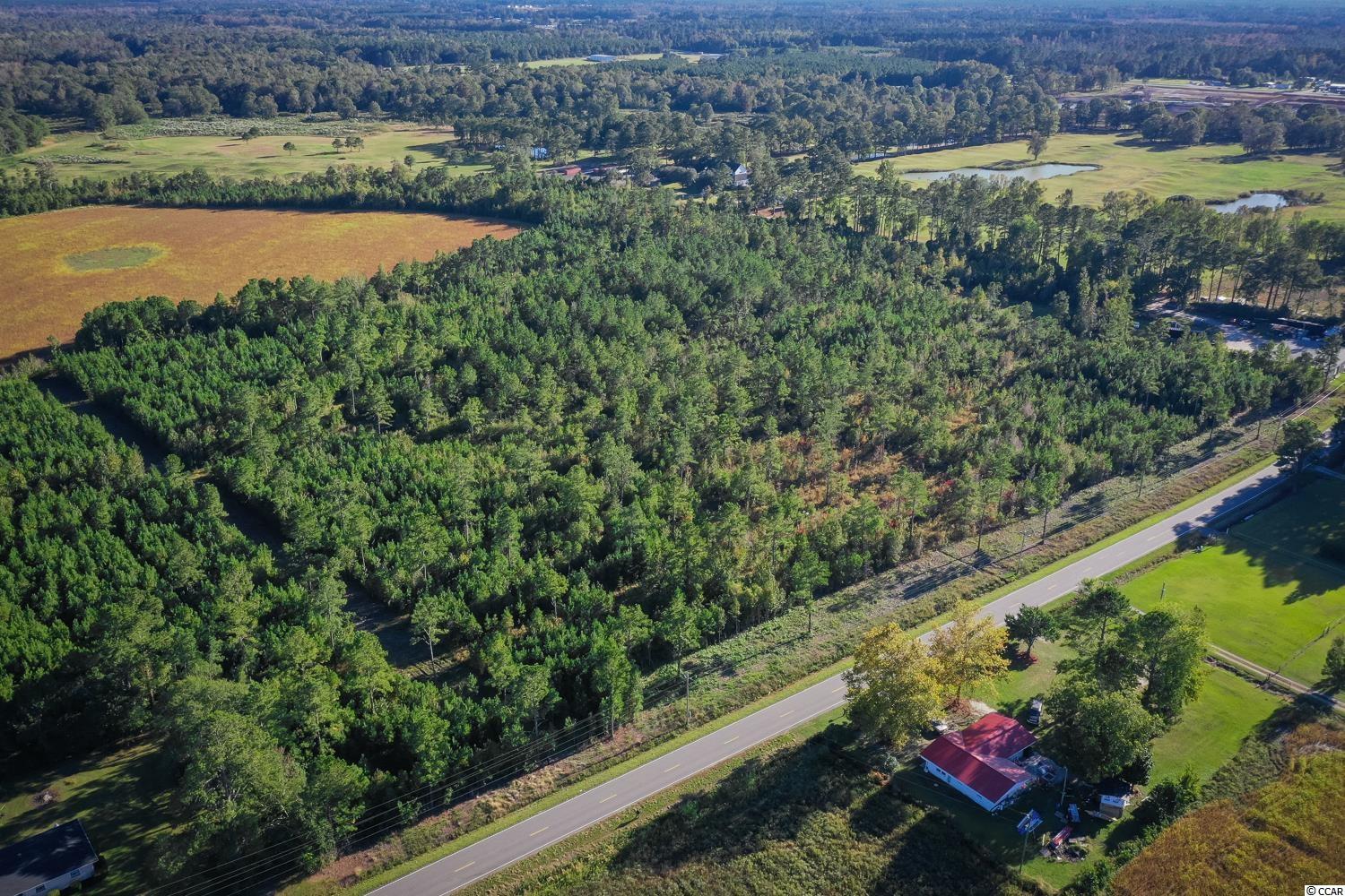Tbd Camp Swamp Road Loris, SC 29569 - Photo 5 of 20