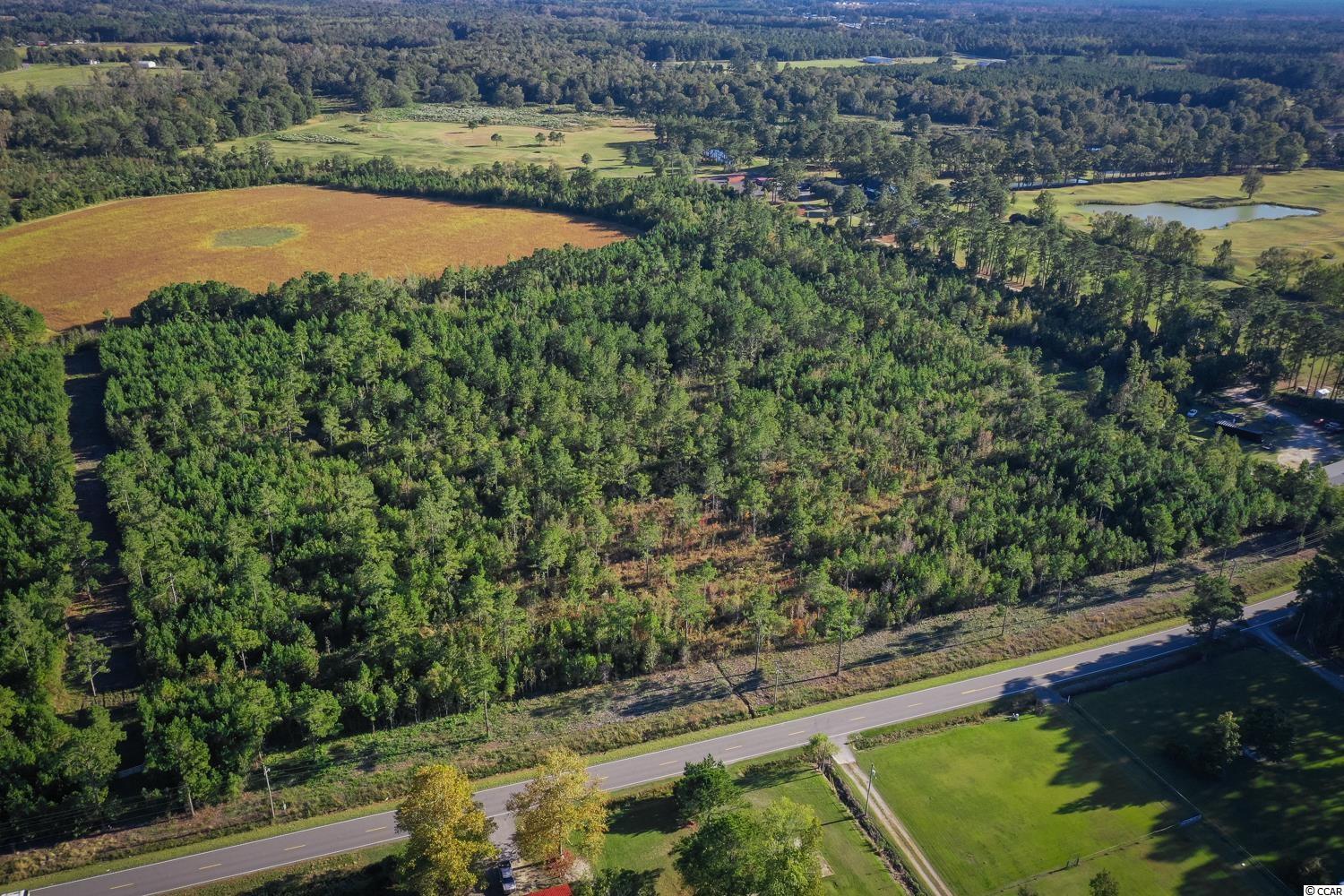 Tbd Camp Swamp Road Loris, SC 29569 - Photo 6 of 20