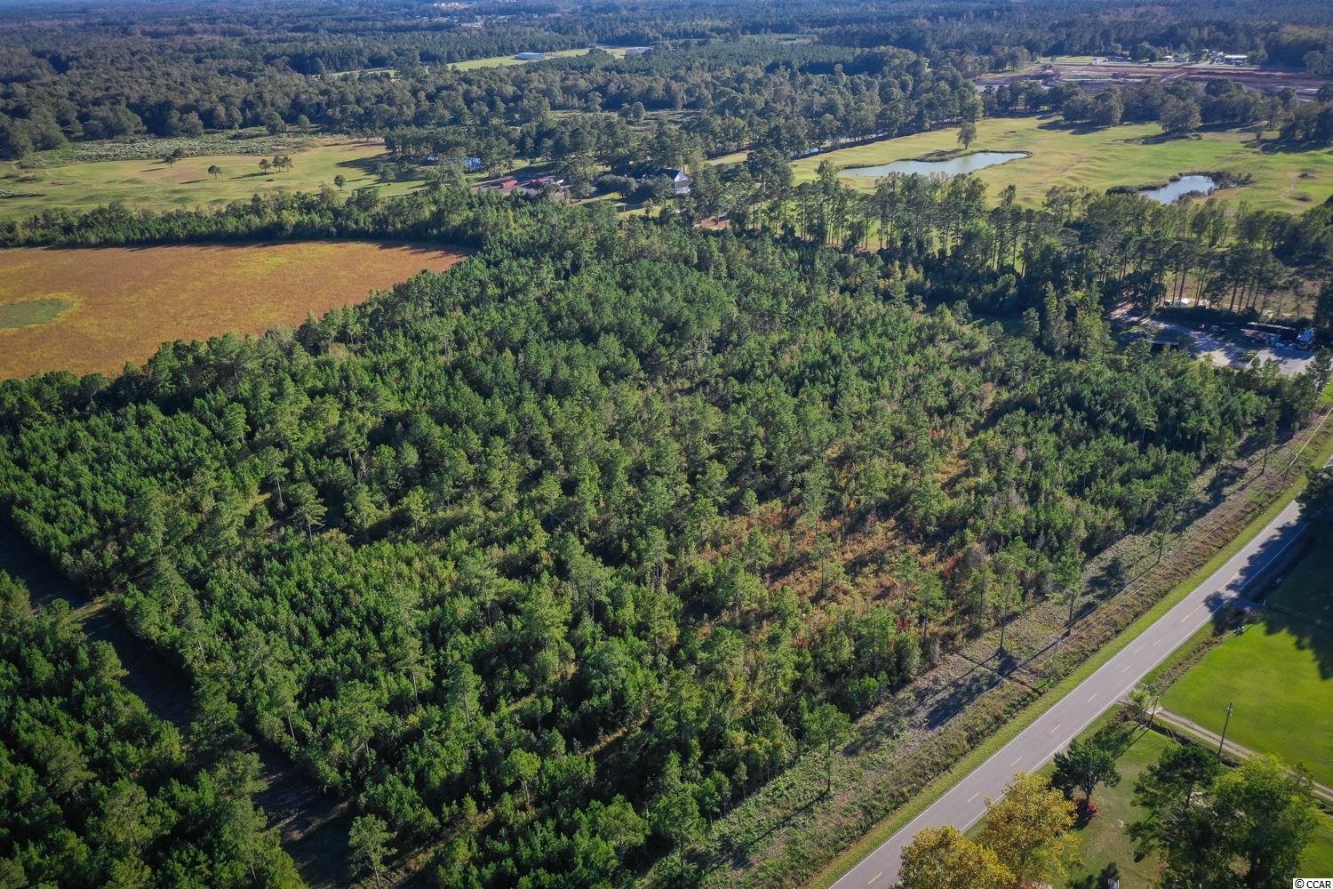 Tbd Camp Swamp Road Loris, SC 29569 - Photo 7 of 20