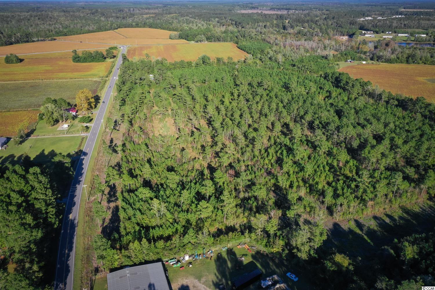 Tbd Camp Swamp Road Loris, SC 29569 - Photo 8 of 20