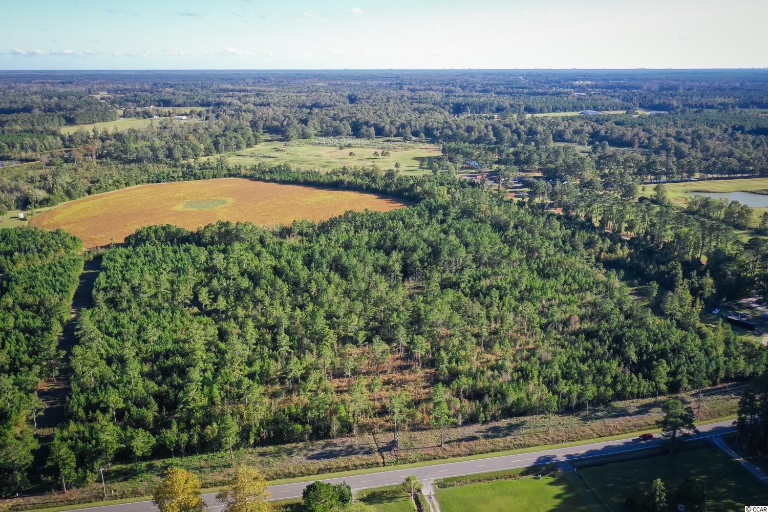 Tbd Camp Swamp Road Loris, SC 29569 - Photo 10 of 20