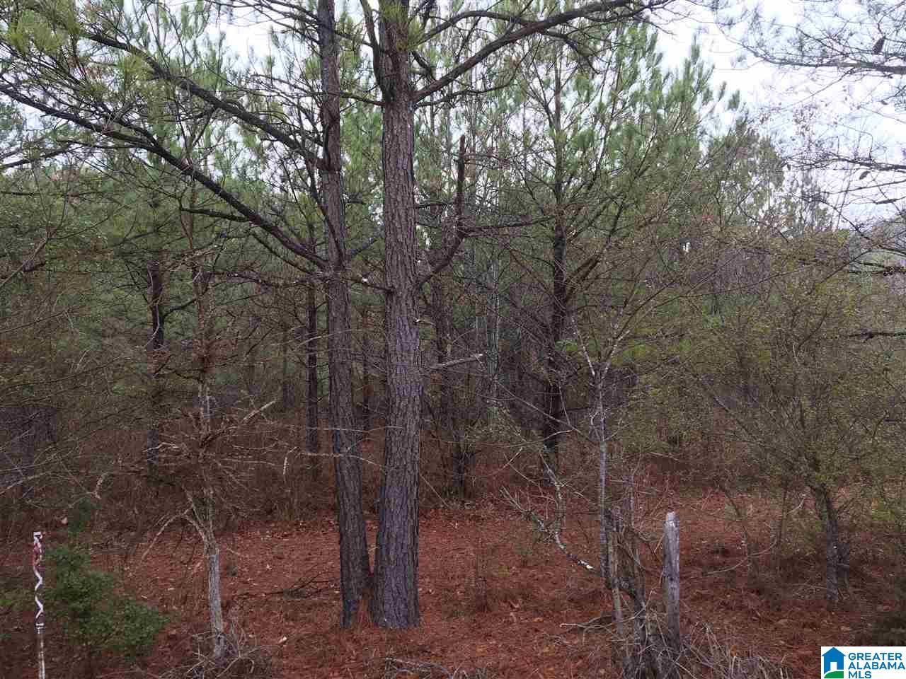 Old Choccolocco Road, Unit 97 Weaver, AL 36277 - Photo 21 of 27
