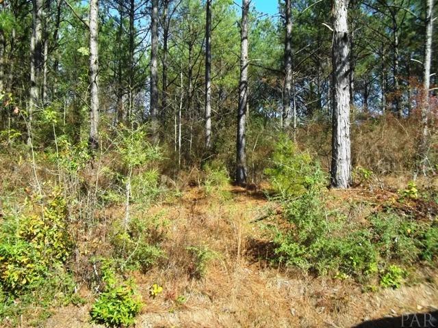 962 State Line Road Flomaton, AL 36441 - Photo 3 of 17