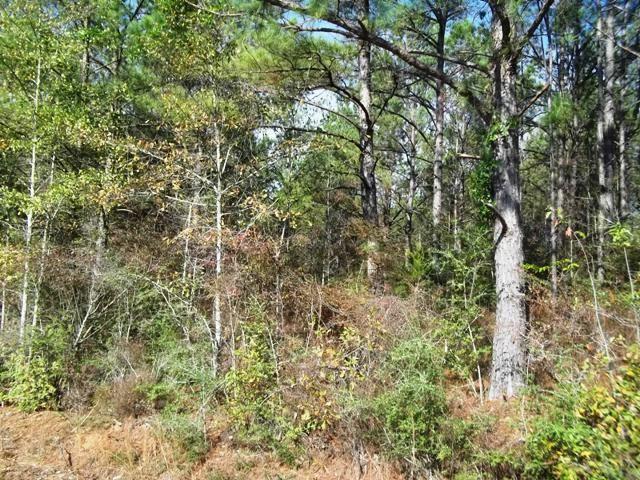 962 State Line Road Flomaton, AL 36441 - Photo 4 of 17