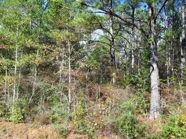 962 State Line Road Flomaton, AL 36441 - Photo 5 of 17