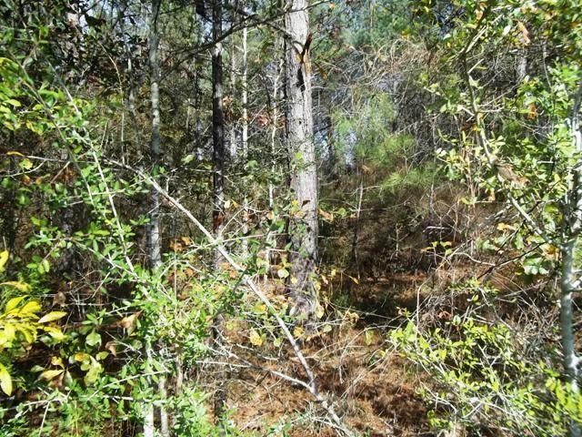 962 State Line Road Flomaton, AL 36441 - Photo 6 of 17