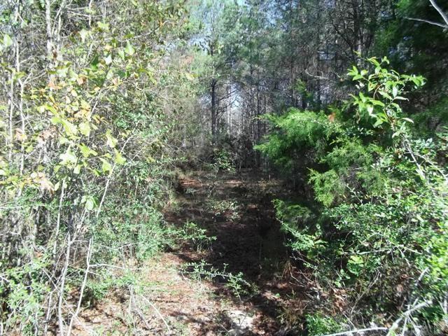 962 State Line Road Flomaton, AL 36441 - Photo 7 of 17