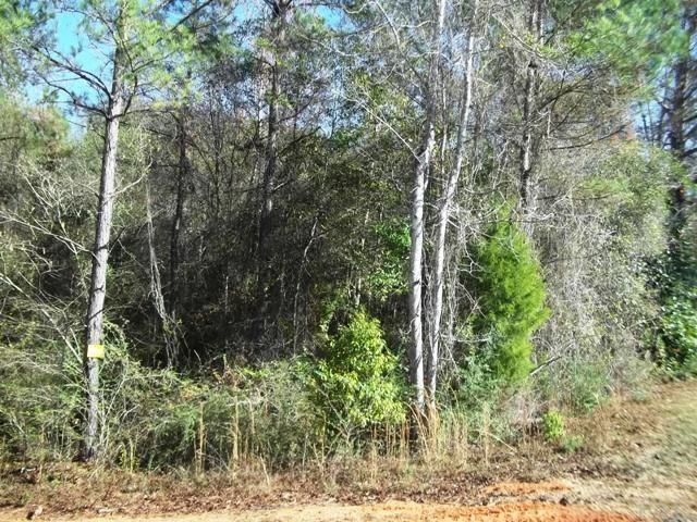 962 State Line Road Flomaton, AL 36441 - Photo 10 of 17