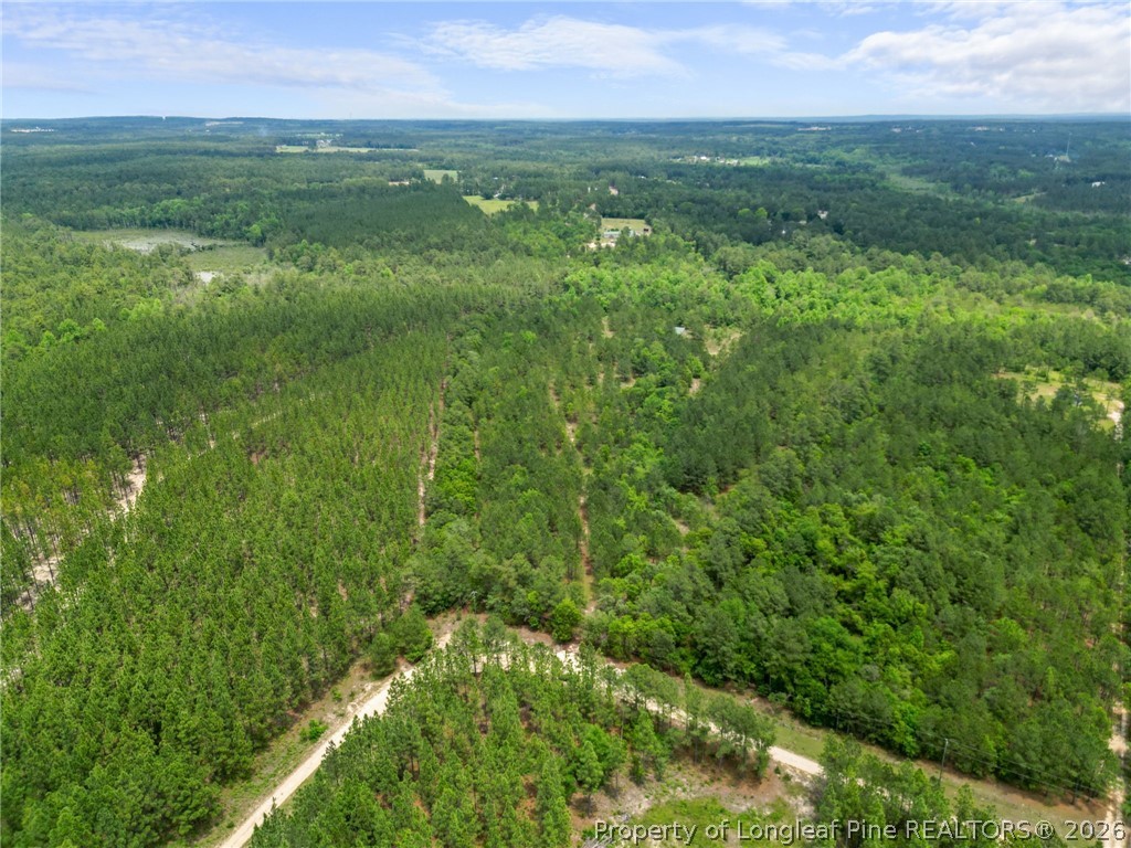 Nighthawk Loop Aberdeen, NC 28315 - Photo 5 of 12