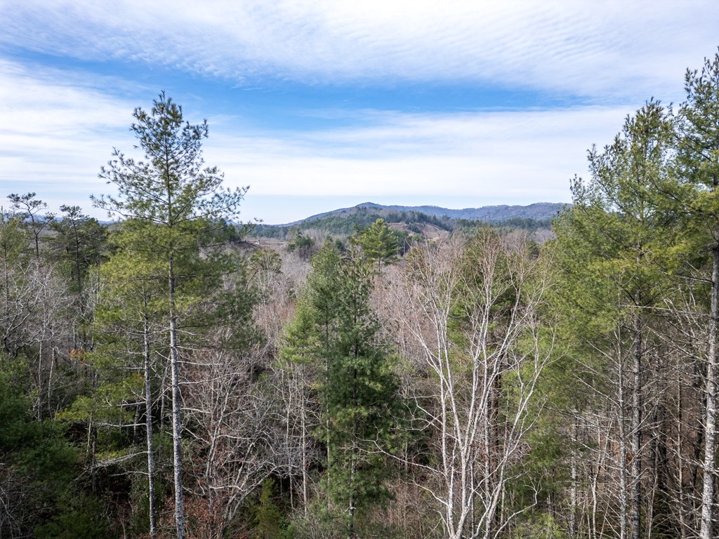 325 River Mountain Road Murphy, NC 28906 - Photo 36 of 57 a view of a yard with a mountain