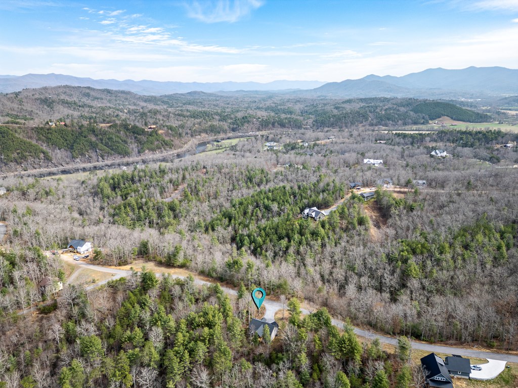 325 River Mountain Road Murphy, NC 28906 - Photo 43 of 57 a view of mountain view with lots of trees