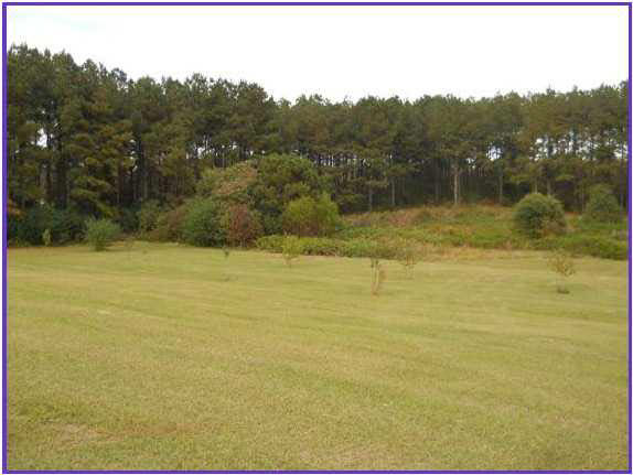 11 Old Jackson Road Forest, MS 39074 - Photo 1 of 10 Photo 1