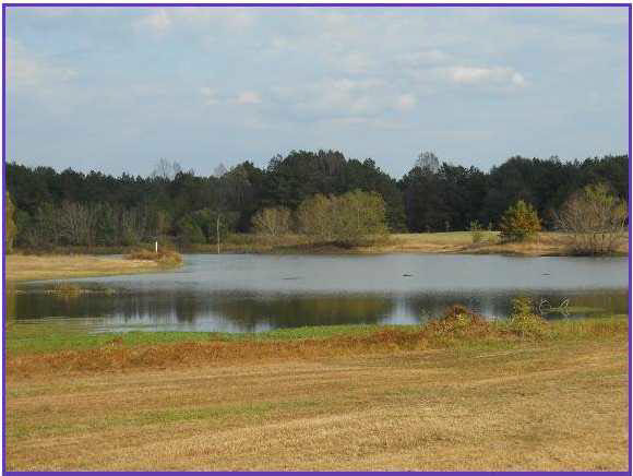 11 Old Jackson Road Forest, MS 39074 - Photo 3 of 10 Photo 3