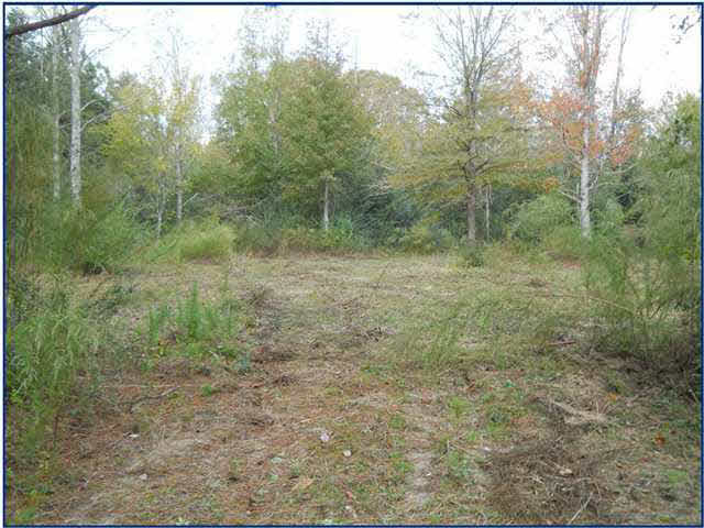 11 Old Jackson Road Forest, MS 39074 - Photo 5 of 10 Photo 5