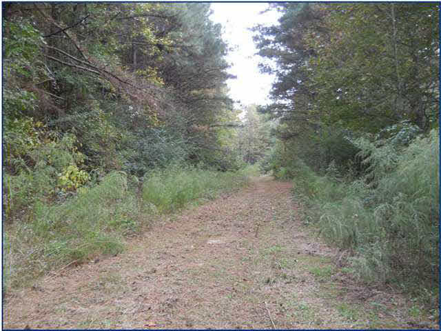 11 Old Jackson Road Forest, MS 39074 - Photo 6 of 10 Photo 6
