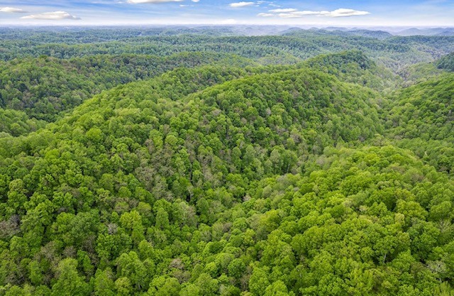 0 Hewitt Ridge Road Baxter, TN 38544 - Photo 1 of 62